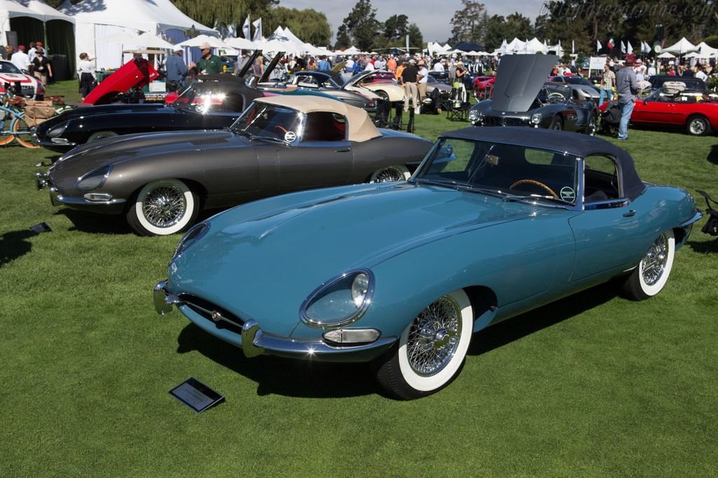Jaguar E-Type Roadster   - 2014 The Quail, a Motorsports Gathering