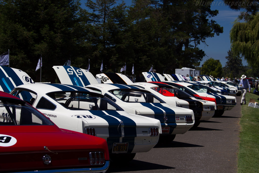 Ford Shelby Mustang GT350   - 2015 The Quail, a Motorsports Gathering