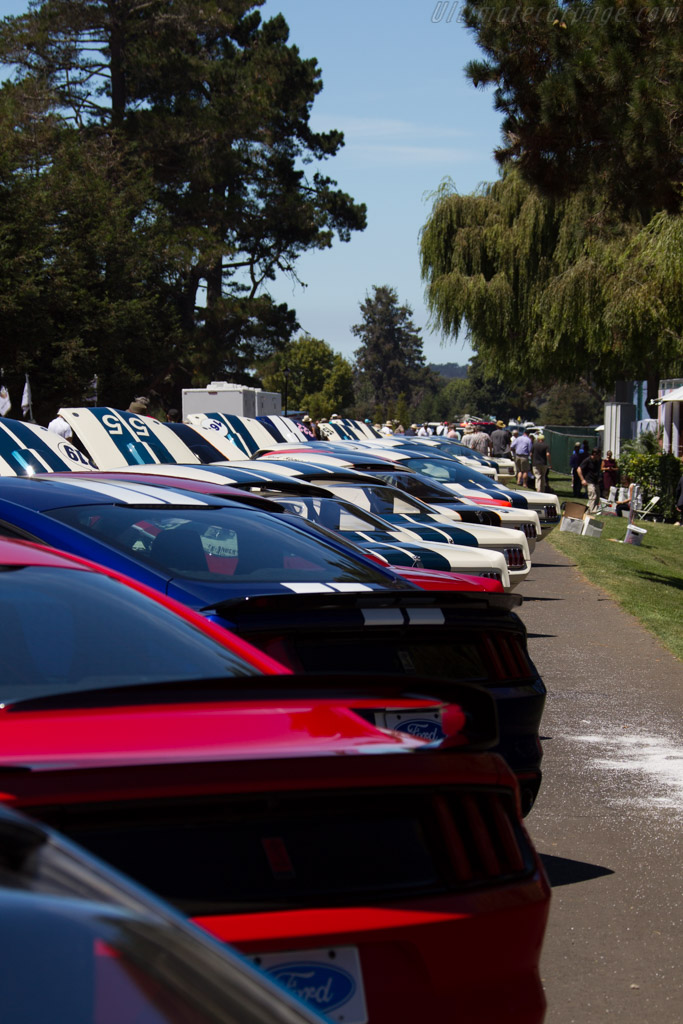 Ford Shelby Mustang GT350 R   - 2015 The Quail, a Motorsports Gathering