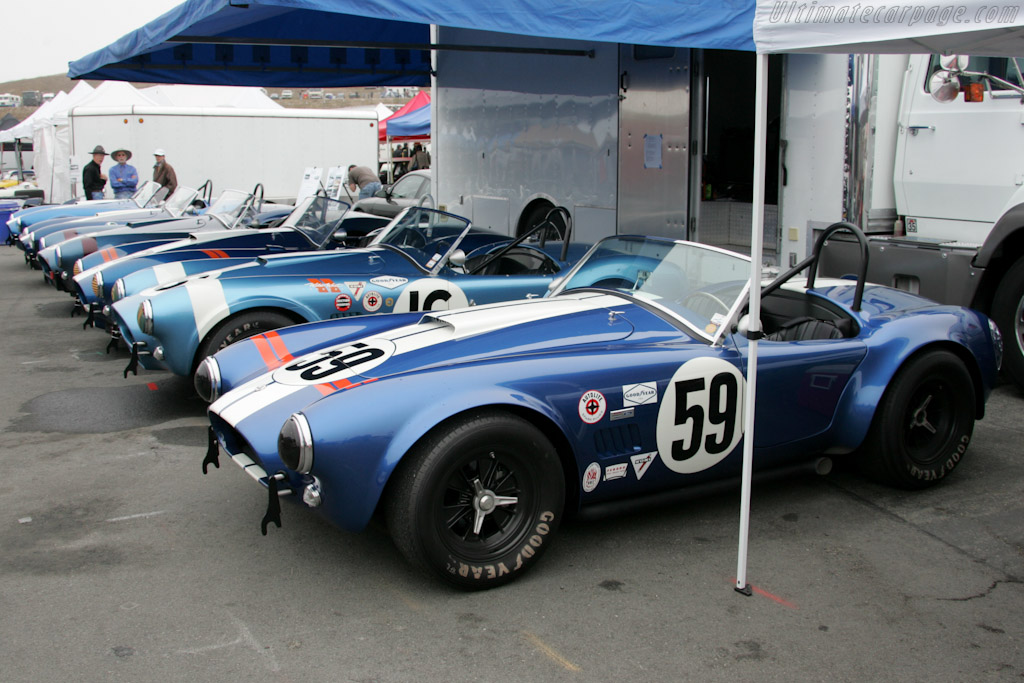Cobras   - 2010 Monterey Motorsports Reunion
