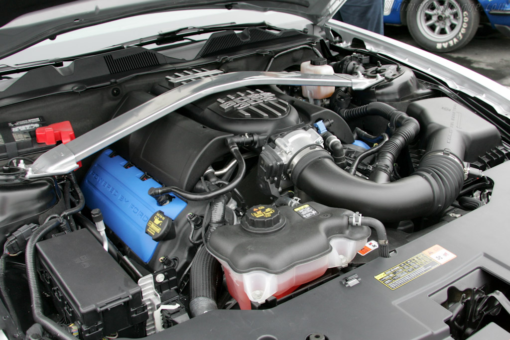 Ford Mustang Boss 302   - 2010 Monterey Motorsports Reunion