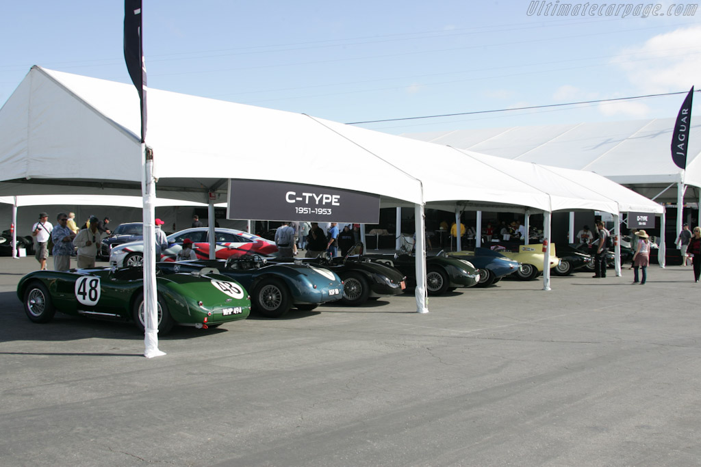 Jaguar C-Types - Chassis: XKC 034  - 2011 Monterey Motorsports Reunion