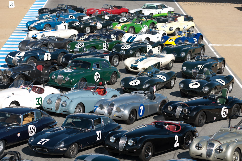 Jaguar Shoot   - 2011 Monterey Motorsports Reunion