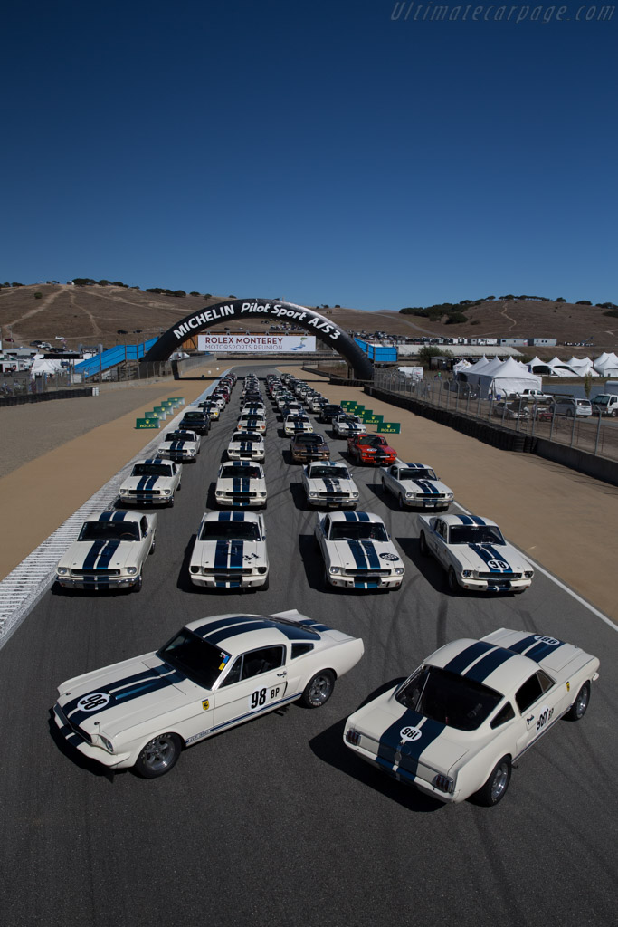 Ford Shelby Mustang GT350   - 2015 Monterey Motorsports Reunion