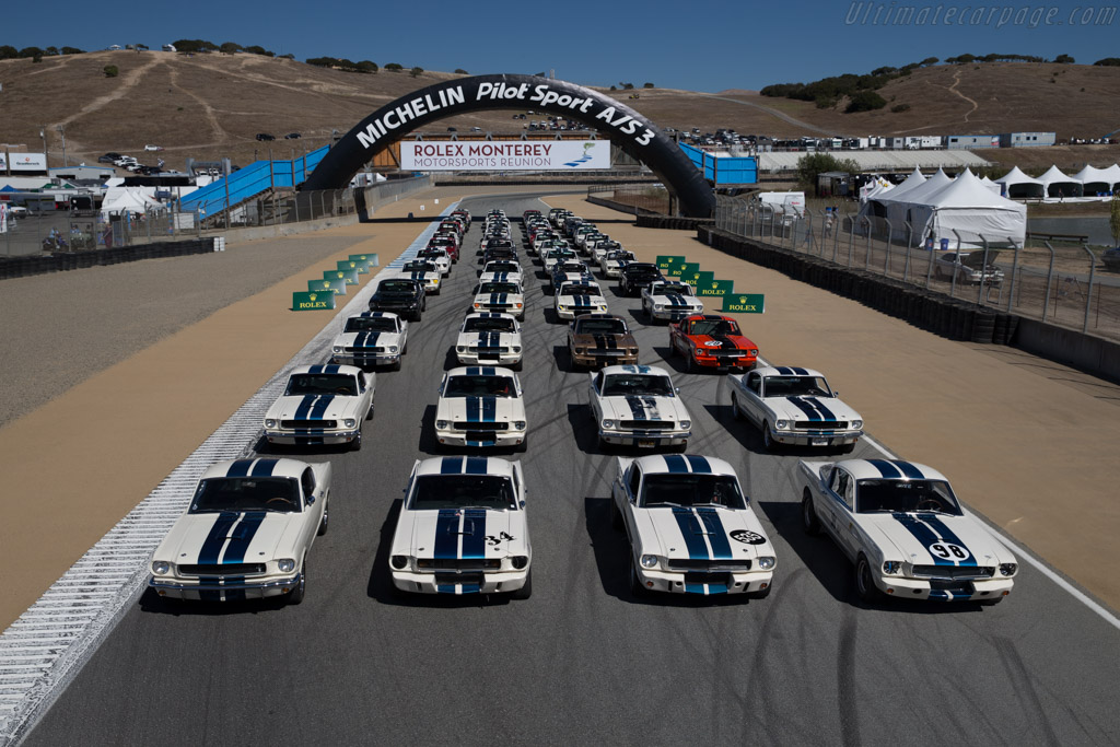 Ford Shelby Mustang GT350   - 2015 Monterey Motorsports Reunion