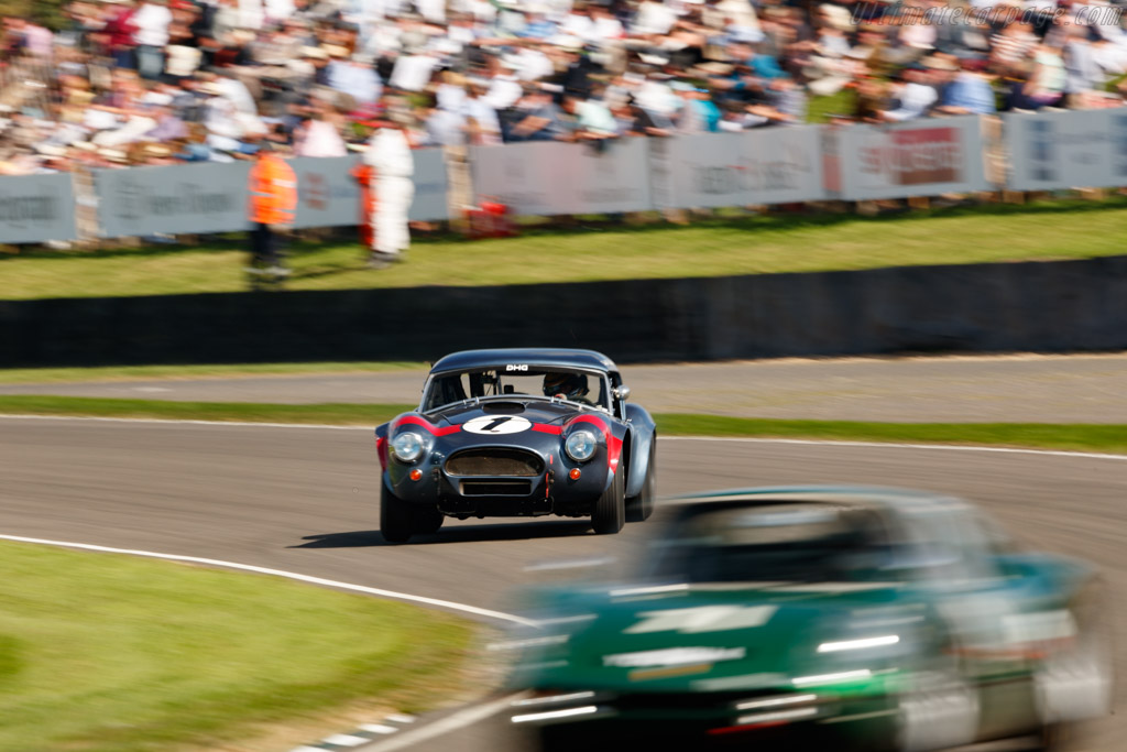 AC Shelby Cobra - Chassis: CSX2049 - Entrant: David Hart - Driver: David Hart / Olivier Hart - 2018 Goodwood Revival