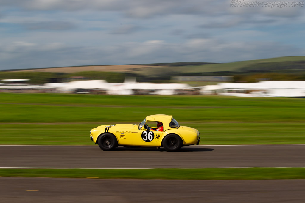 AC Shelby Cobra  - Entrant: Bill Bridges - Driver: Bill Bridges / Ludovic Lindsay - 2018 Goodwood Revival