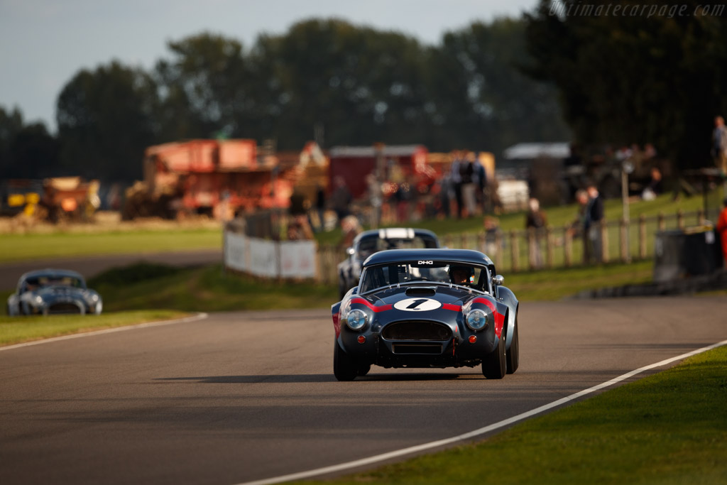 AC Shelby Cobra - Chassis: CSX2049 - Entrant: David Hart - Driver: David Hart / Olivier Hart - 2018 Goodwood Revival
