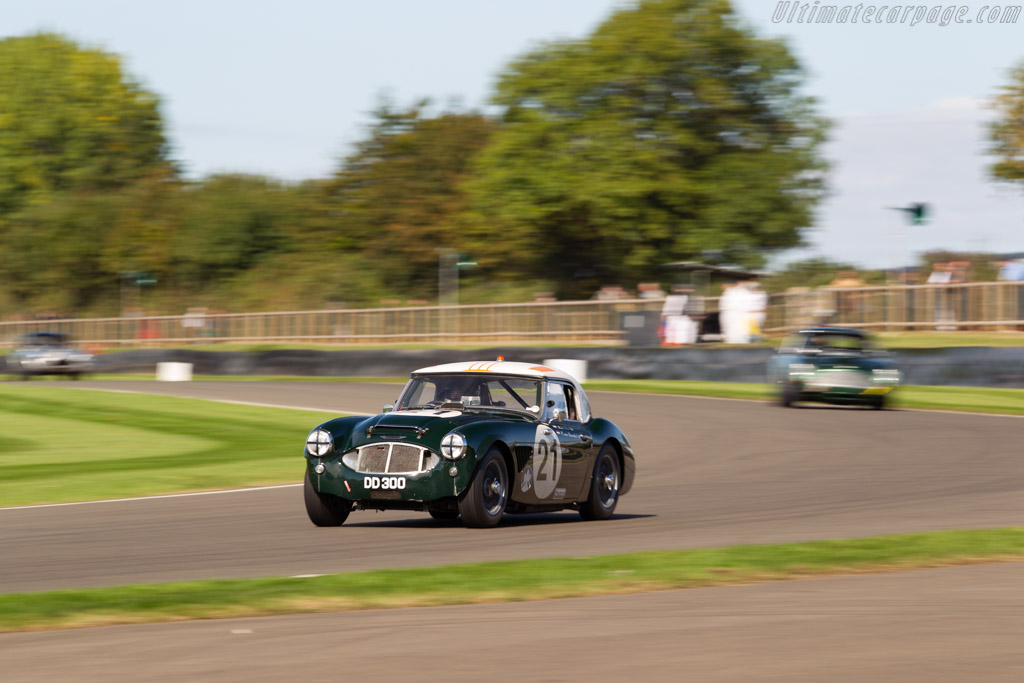 Austin Healey 3000 Mk1  - Entrant: Karsten Le Blanc - Driver: Karsten Le Blanc / Christiaen van Lanschot - 2018 Goodwood Revival