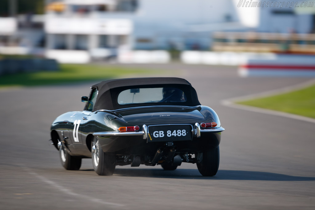 Jaguar E-Type - Chassis: 850008 - Entrant: Adam Lindemann - Driver: Adam Lindemann / Richard Meaden - 2018 Goodwood Revival