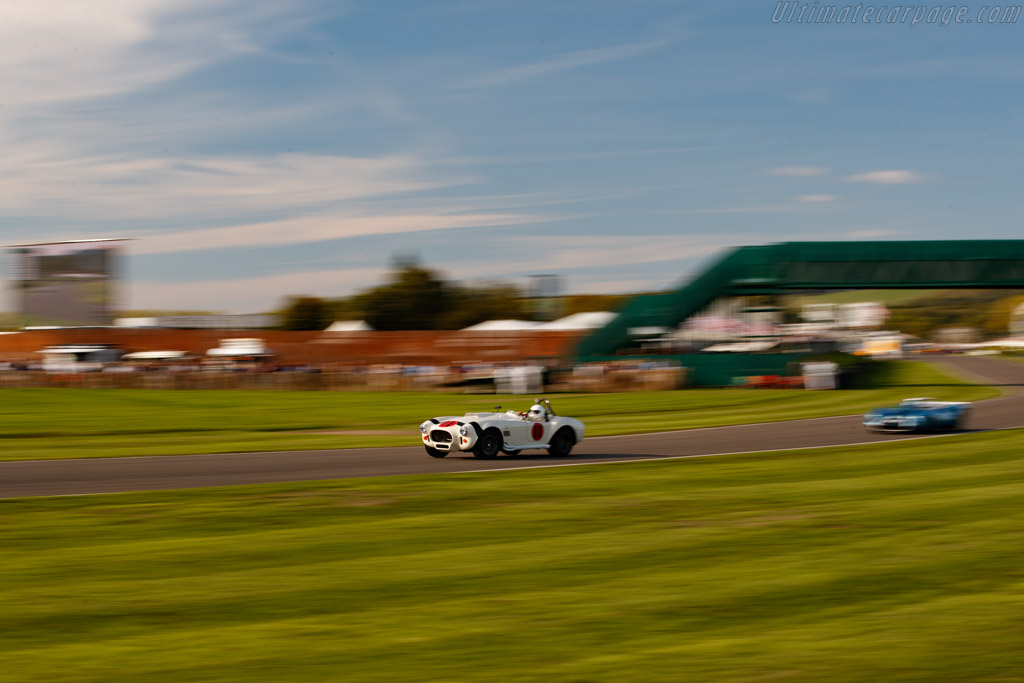 AC Shelby Cobra 427  - Driver: Bill Shepherd - 2022 Goodwood Revival