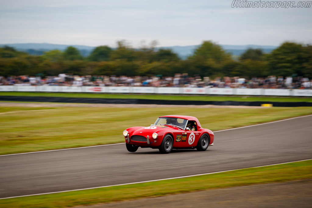 AC Shelby Cobra 260 - Chassis: CSX2020 - Entrant: John Spiers - Driver: Nigel Greensall / John Spiers - 2024 Goodwood Revival