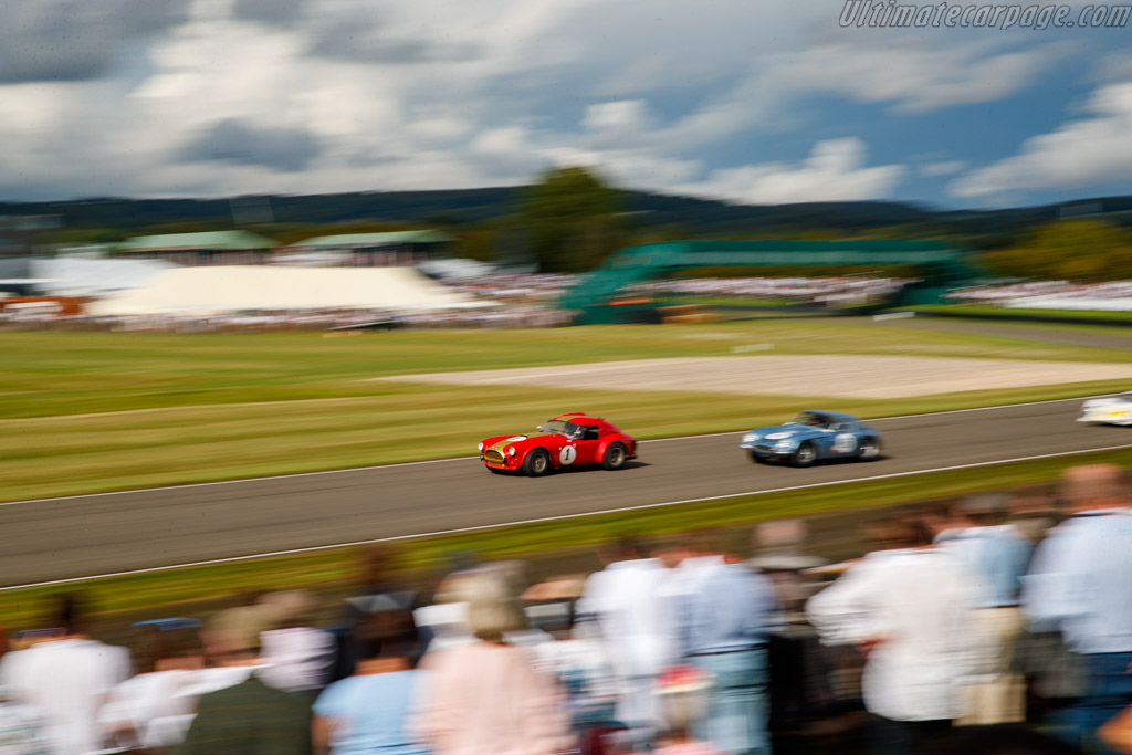 AC Shelby Cobra 289 - Chassis: HEM 6 - Entrant: Oliver Bryant - Driver: Oliver Bryant / Jake Hill - 2024 Goodwood Revival