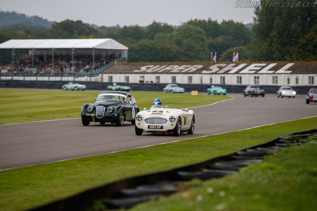 Austin Healey 100/6  - Entrant: The Serpant Collection - Driver: Tim Crighton - 2024 Goodwood Revival