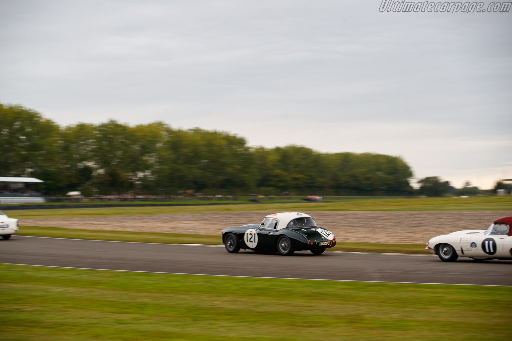 Austin Healey 3000 Mk1  - Entrant: Christiaen van Lanschot - Driver: Karsten Le Blanc / Christiaen van Lanschot - 2024 Goodwood Revival