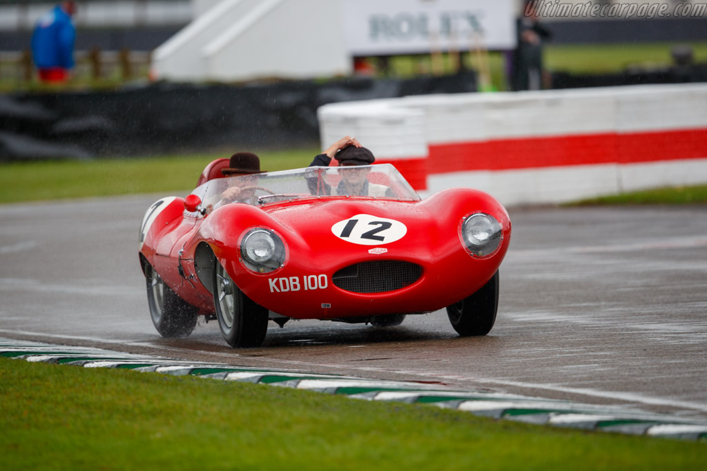 Jaguar D-Type    - 2024 Goodwood Revival