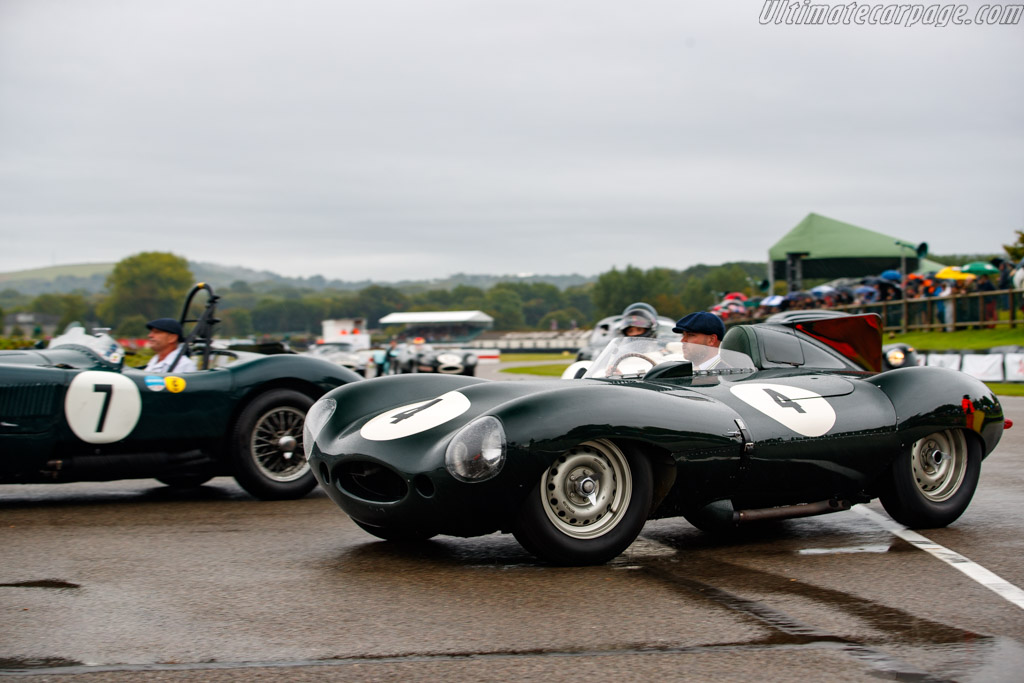 Jaguar D-Type    - 2024 Goodwood Revival