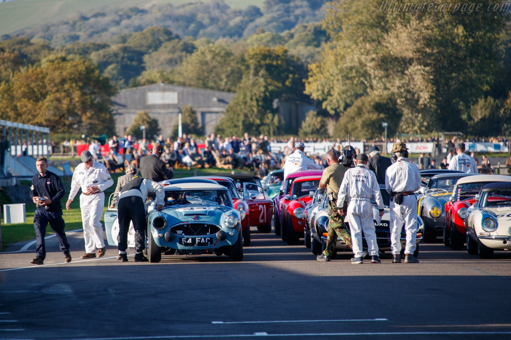 Austin Healey 3000 MkII  - Driver: Jaap Sinke / Jack Rawles - 2025 Goodwood Revival