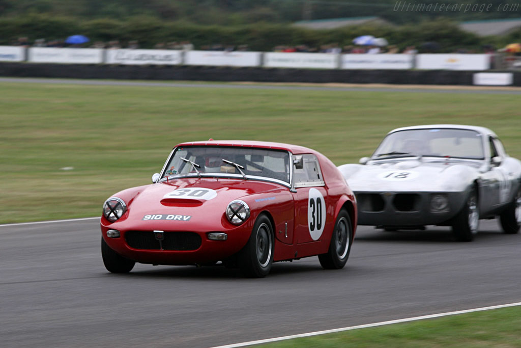 Austin Healey Speedwell Sprite   - 2006 Goodwood Revival