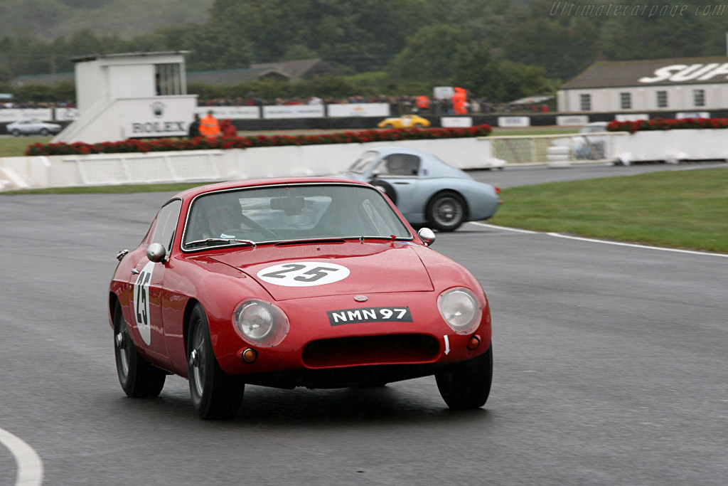 WSM MGB GT   - 2006 Goodwood Revival
