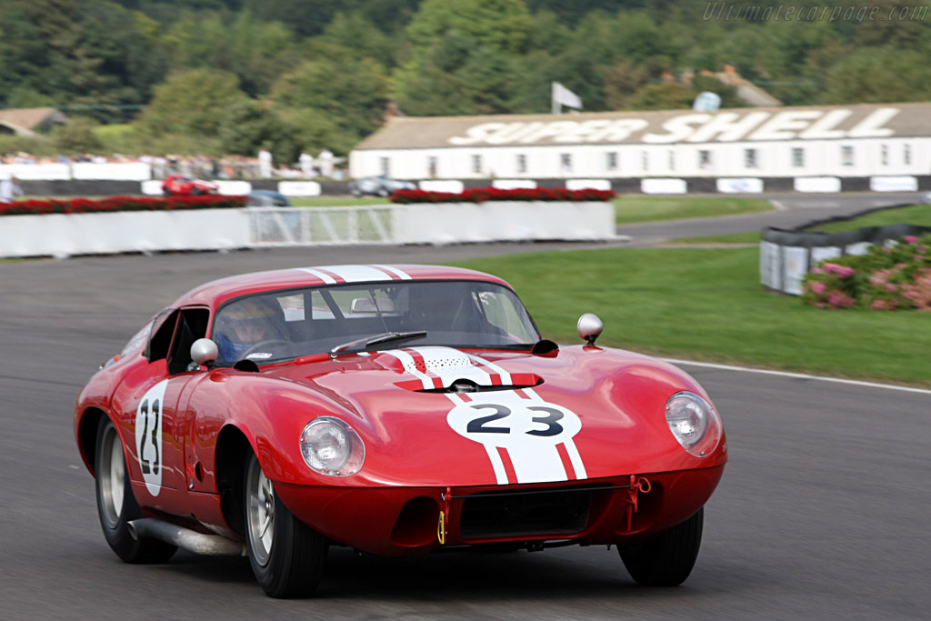 Shelby Cobra Willment Coupe - Chassis: CSX2131  - 2007 Goodwood Revival