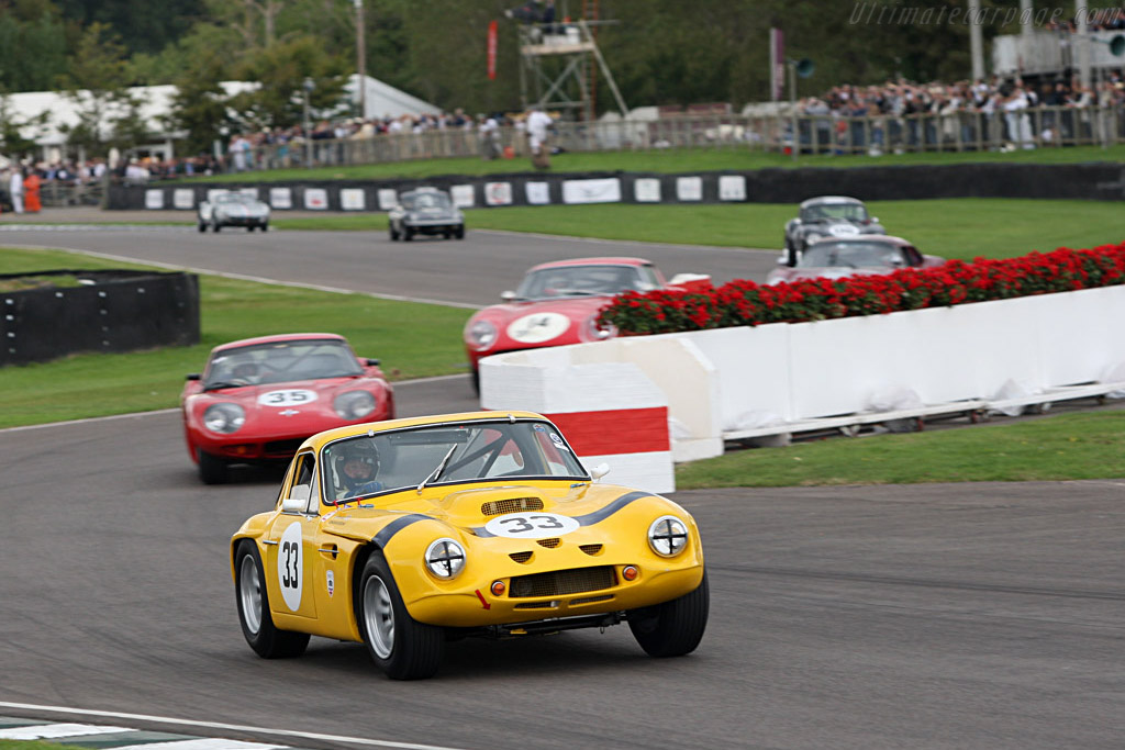 TVR Griffith   - 2007 Goodwood Revival