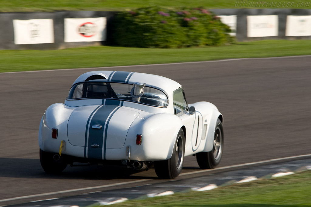 AC Cobra - Chassis: CSX2035  - 2008 Goodwood Revival