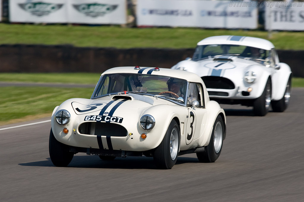 AC Shelby Cobra - Chassis: CSX2142  - 2008 Goodwood Revival