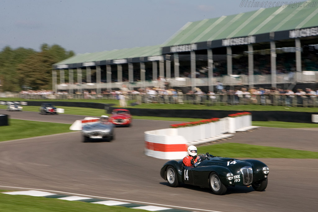 Frazer Nash Mille Miglia - Chassis: 421/100/161  - 2008 Goodwood Revival