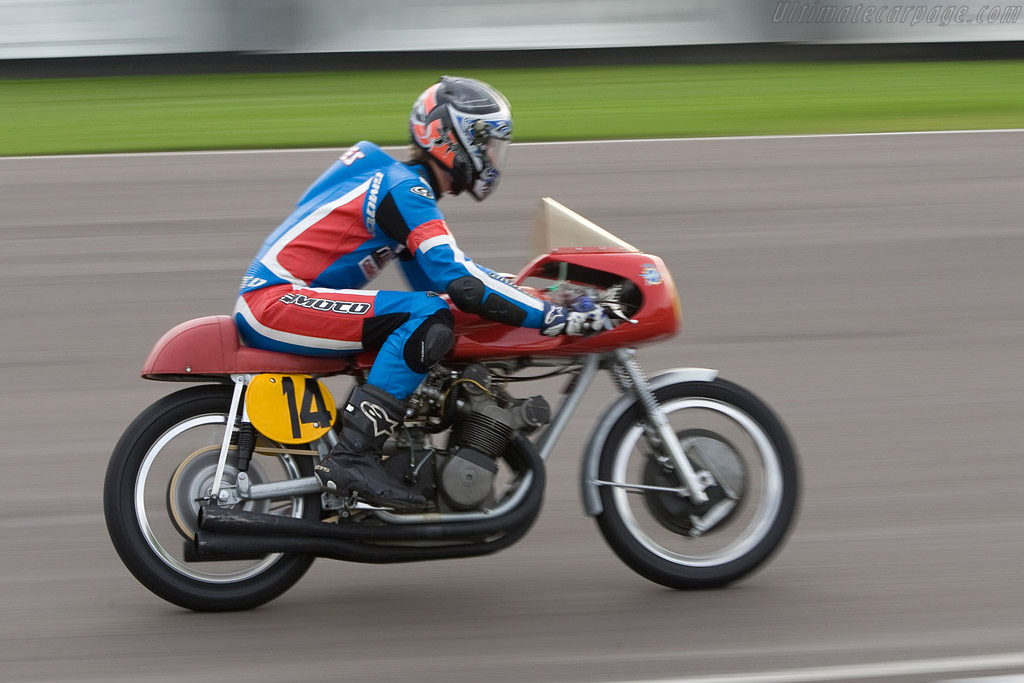 MV Agusta 500/4   - 2008 Goodwood Revival
