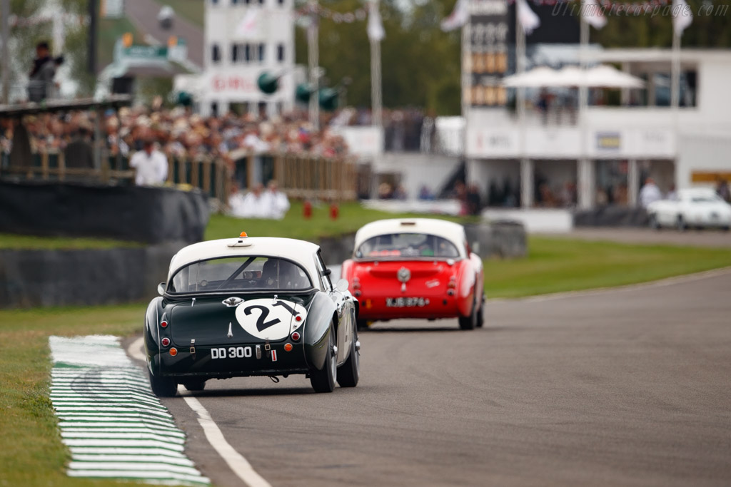 Austin Healey 3000 Mk1 - Chassis: HBN7L-10039 - Entrant: Christiaen van Lanschot - Driver: Christiaen van Lanschot, / Jeremy Welch - 2019 Goodwood Revival