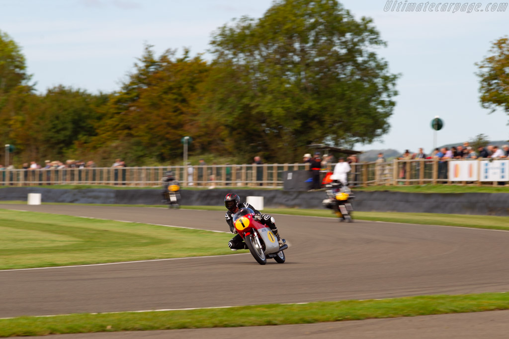 MV Agusta 500/3  - Driver: Ian Simpson / James Whitham - 2019 Goodwood Revival