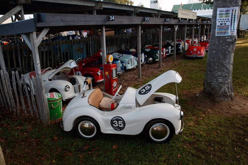 Settrington Cup   - 2019 Goodwood Revival