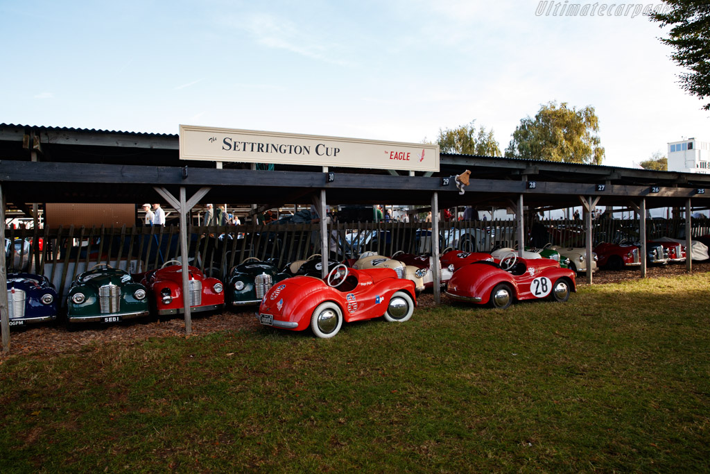 Settrington Cup   - 2019 Goodwood Revival