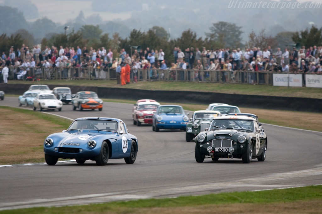 Austin Healey 3000 Mk I   - 2009 Goodwood Revival