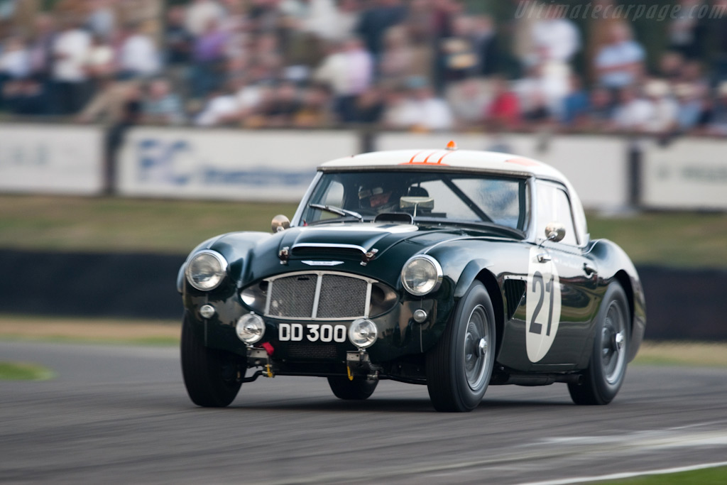 Austin Healey 3000 Mk I   - 2009 Goodwood Revival