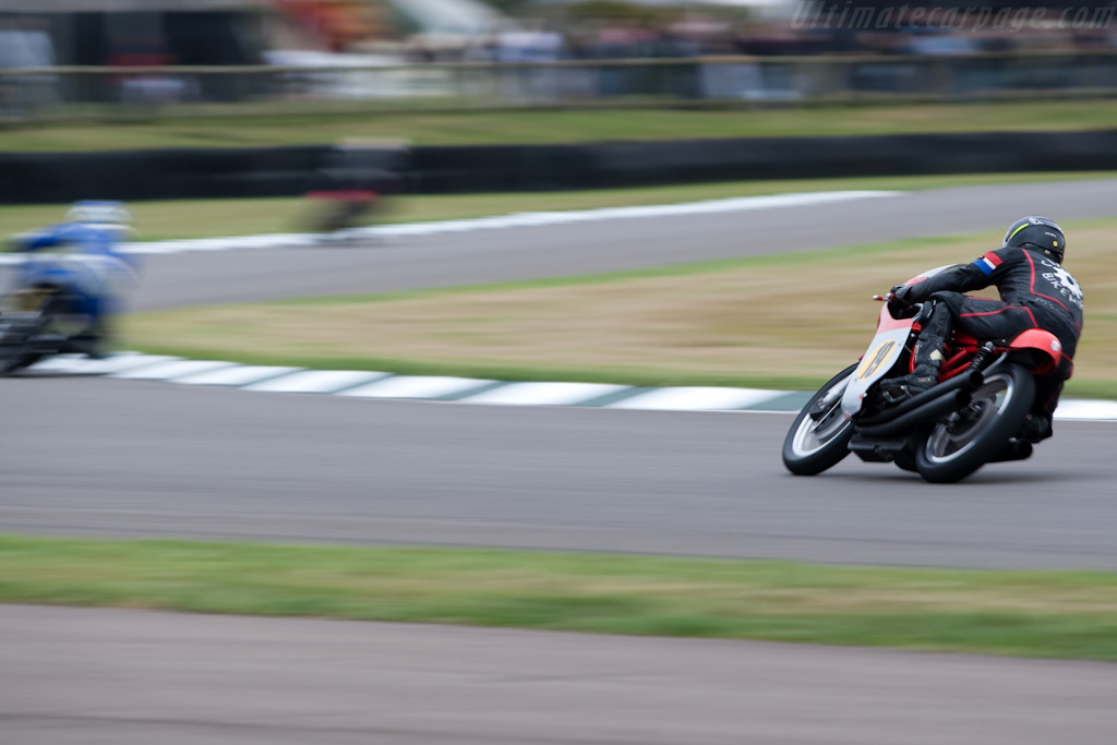MV Agusta 500/3   - 2009 Goodwood Revival