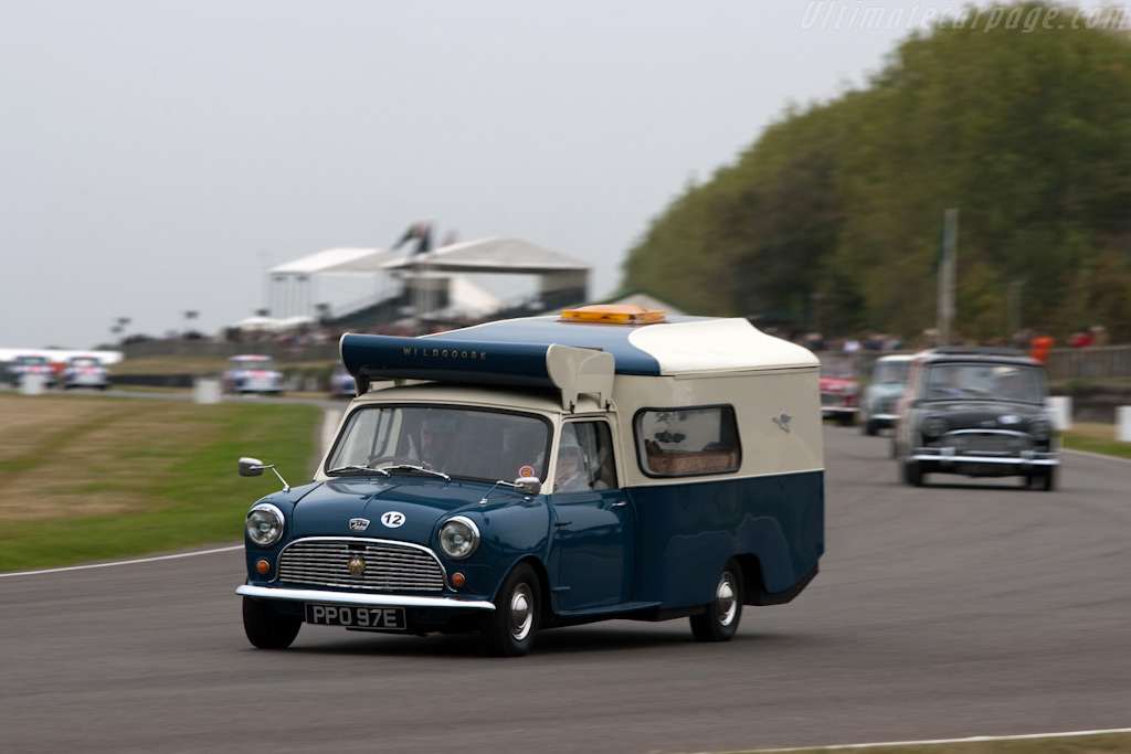 Mini Wildgoose   - 2009 Goodwood Revival