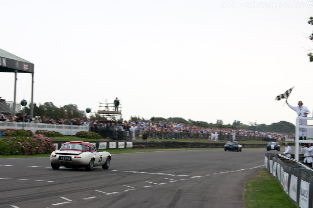 Newey takes the flag   - 2009 Goodwood Revival