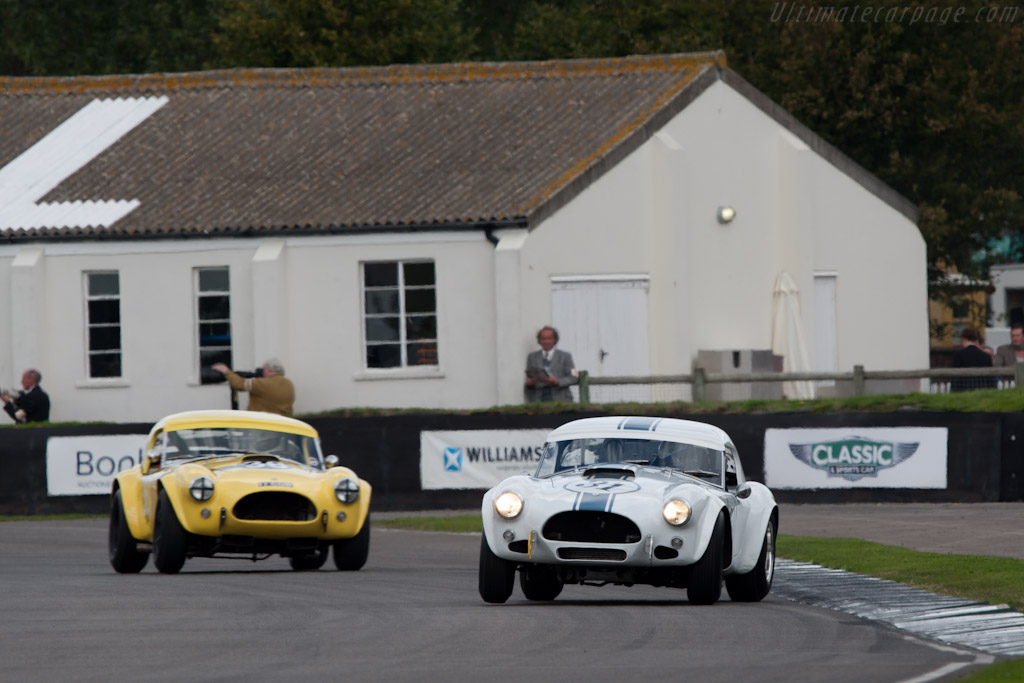 AC Shelby Cobra - Chassis: CSX2035  - 2010 Goodwood Revival