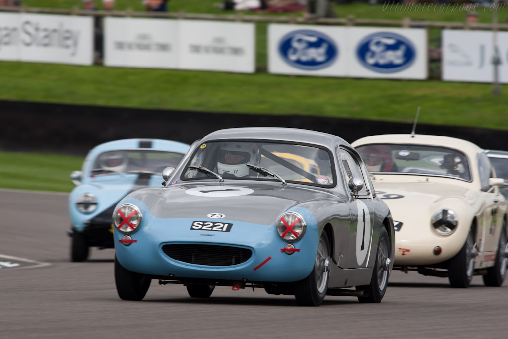 Austin Healey Sebring Sprite   - 2010 Goodwood Revival