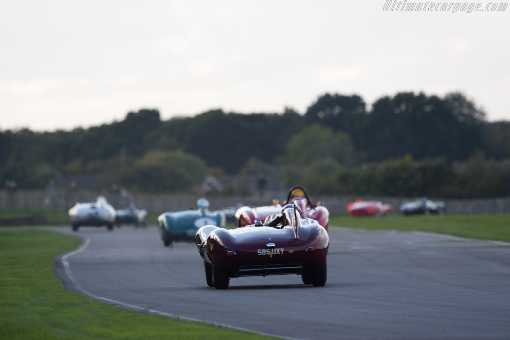 Jaguar D-Type - Chassis: XKD 534  - 2010 Goodwood Revival