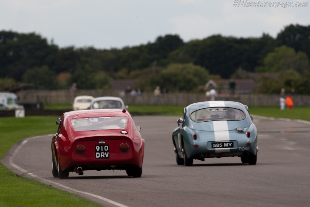 Lenham GT   - 2010 Goodwood Revival