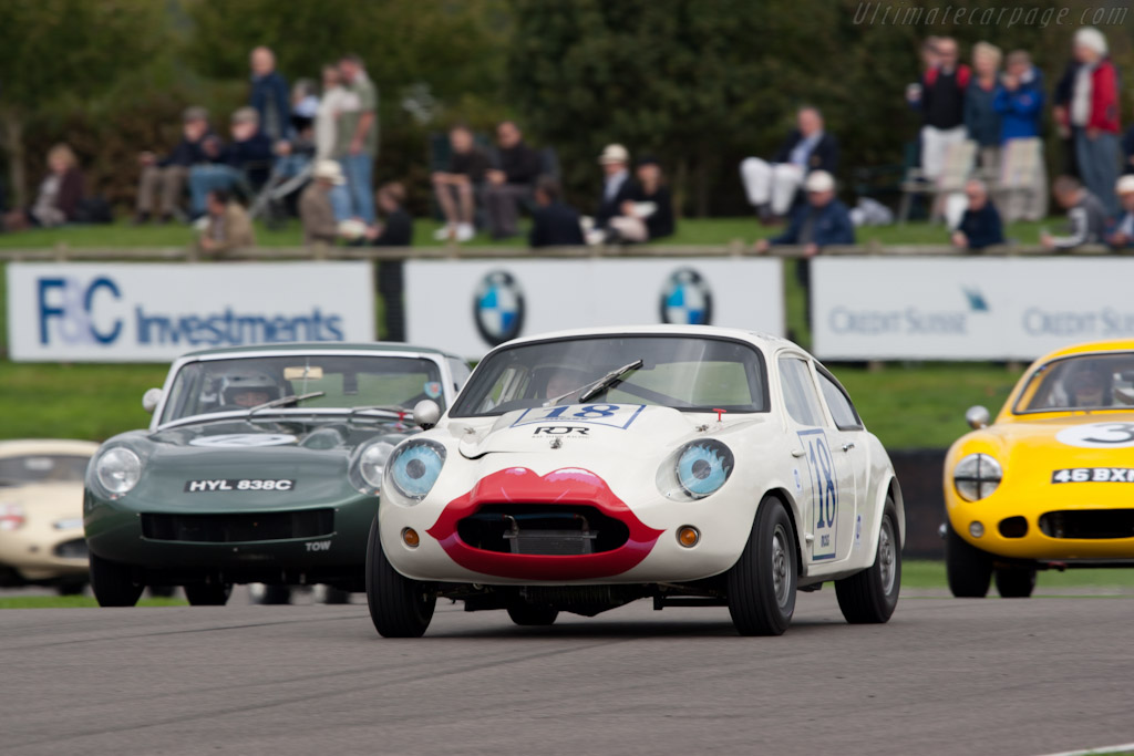 Mini Jem GT   - 2010 Goodwood Revival