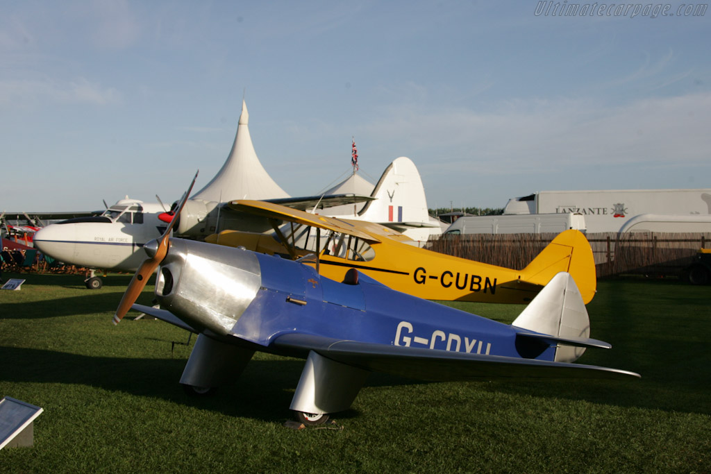 de Havilland Moth   - 2010 Goodwood Revival