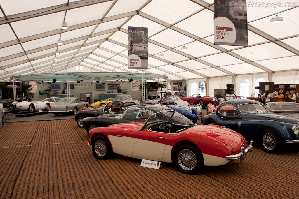 Austin Healey 100/6 Roadster   - 2011 Goodwood Revival