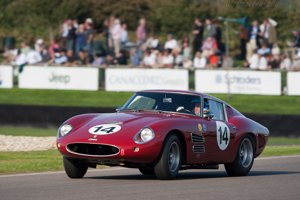 Ferrari 250 GT Drogo Coupe - Chassis: 2445GT  - 2011 Goodwood Revival