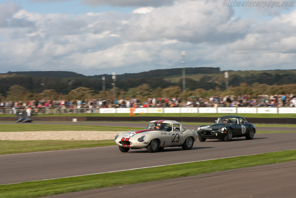 Jaguar E-Type 'Lightweight' - Chassis: S850660  - 2011 Goodwood Revival