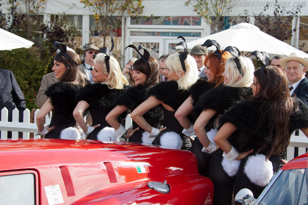 Playboy Bunnies   - 2011 Goodwood Revival