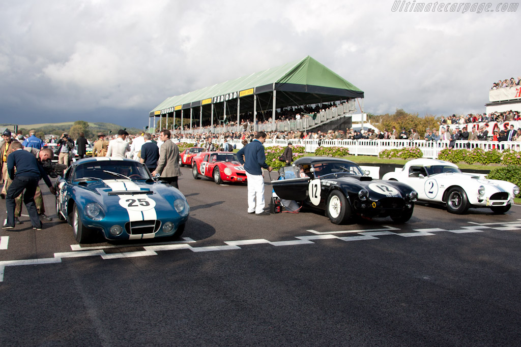 The grid   - 2011 Goodwood Revival